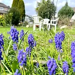 Comfy Apartment Mit Garten In Koeln